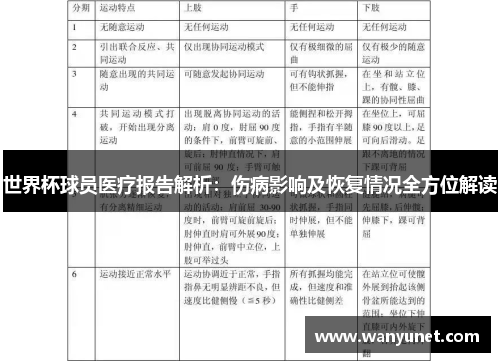 世界杯球员医疗报告解析：伤病影响及恢复情况全方位解读